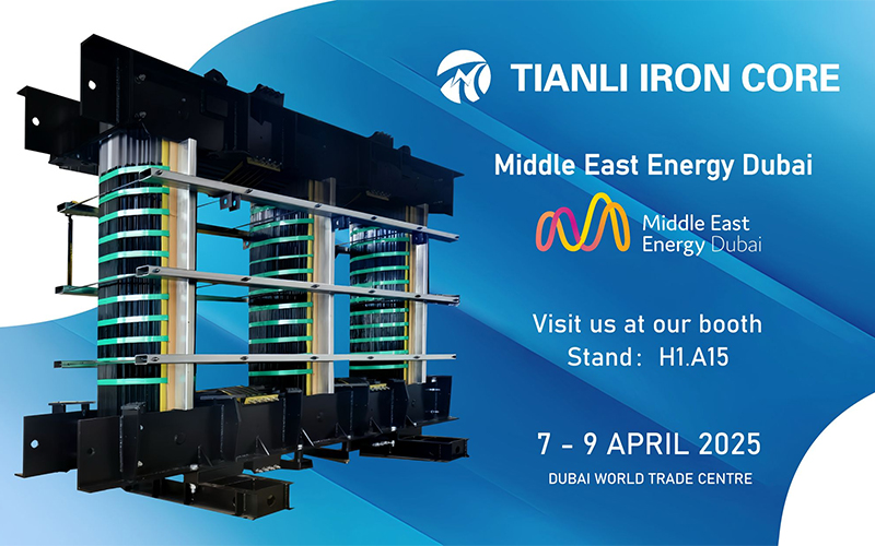 Taizhou Tianli Iron Core Manufacturing Co, Ltd.